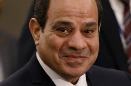 الرئيس السيسي يزف بشرى سارة للمصريين