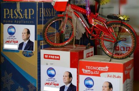 الرئيس السيسى  يهدي طفل ساحل سليم  دراجة عقب تحريره من الخاطفين