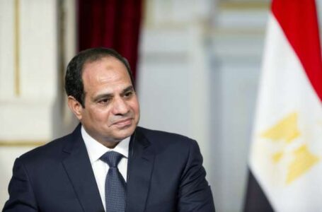 الرئيس السيسي : ليس هناك انتهاك لحقوق الإنسان في مصر