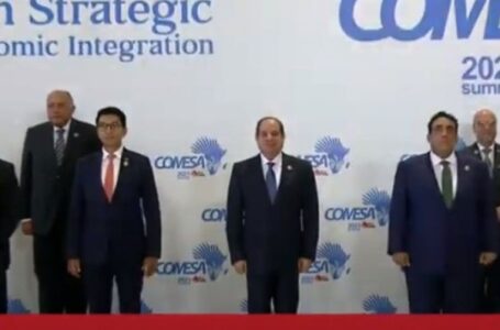 مصرفيون: رئاسة مصر لـ«الكوميسا» تدعم توسع البنوك المصرية في أفريقيا