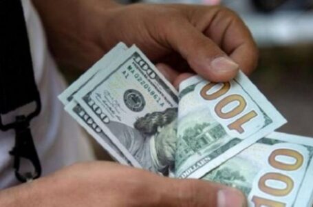 استقرار أسعار الدولار مقابل الجنيه المصري في بداية التعاملات اليومية