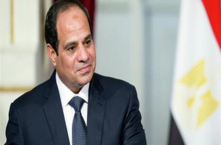 الرئيس السيسي يشهد استعراضًا عن النهضة الحضارية العمرانية في صعيد مصر