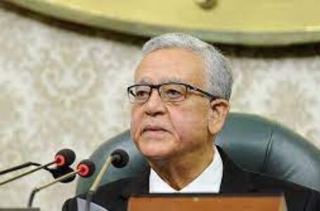 رئيس «النواب» يستعرض جهود مصر بشأن التغيرات المُناخية أمام قمة الجمعية البرلمانية للاتحاد من أجل المتوسط