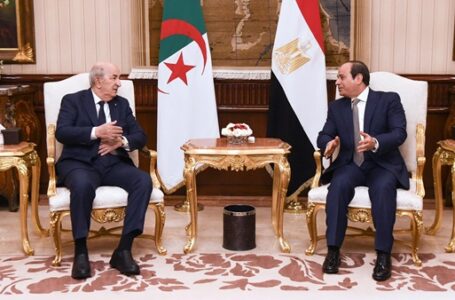 الرئيس السيسي يعقد جلسة مباحثات مع نظيره الجزائري في قصر الاتحادية