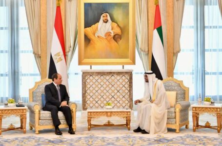 الرئيس السيسي يؤكد تضامن مصر مع الإمارات جراء الحادث الإرهابي الأخير