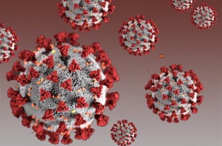 استشاري البكتيريا والمناعة: لا يمكن الاعتماد على “المناعة الجماعية” لإنهاء الجائحة