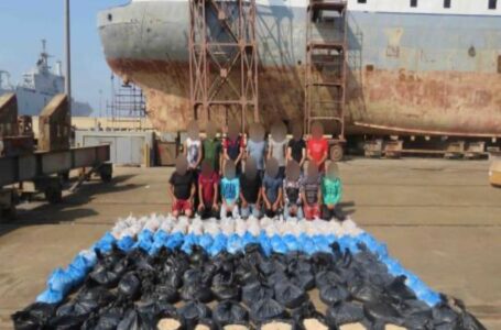 إحباط تهريب شحنة مخدرات بـ نصف مليار جنيه بميناء الإسكندرية