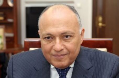 شكرى : مصر حريصة على تعزيز العلاقات مع الإتحاد الأوروبي
