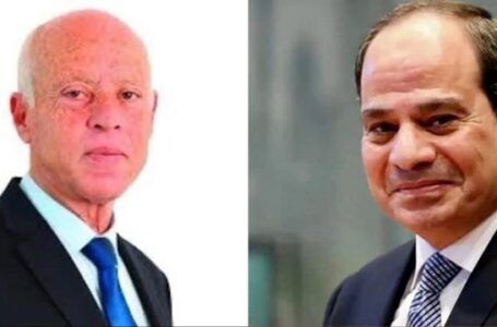 الرئيس السيسي: ثبات دعم مصر للقيادة والحكومة في تونس