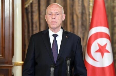 الحمادي يحذر الرئيس التونسي من حل المجلس الأعلى للقضاء
