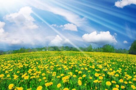 الأرصاد الجوية: فصل الربيع يبدأ فلكيا يوم 21 مارس