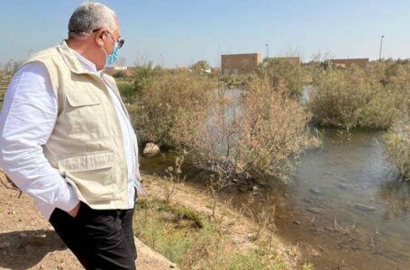 وزير الزراعة ومحافظ أسوان يتفقدان مقر هيئة تنمية بحيرة السد العالي
