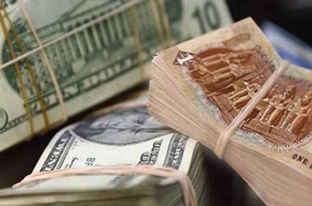 هدوء أسعار الدولار مقابل الجنيه المصري في بداية التعاملات