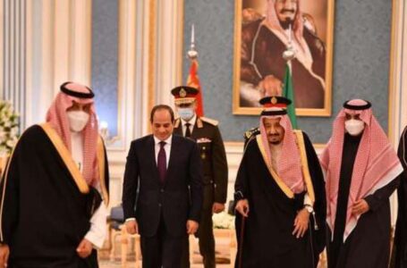 بيان مشترك بين مصر والسعودية: أمن مصر المائي جزء من الأمن العربي