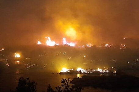 تفاصيل حريق هائل بمحمية سالوجا وغزال وسط النيل في أسوان