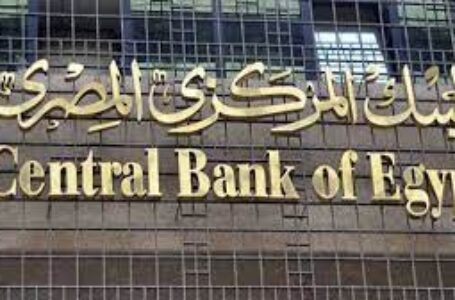 البنك المركزي: ارتفاع تحويلات المصريين بالخارج إلى 31.5 مليار دولار خلال عام 2021