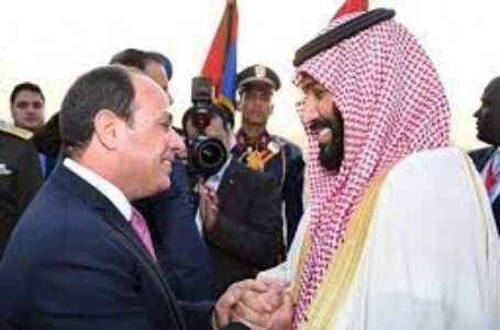 السيسي يجري اتصالا بولي العهد السعودي للاطمئنان على صحة الملك سلمان