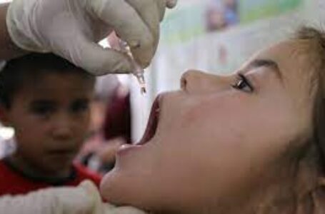غدا.. إطلاق الحملة القومية للتطعيم ضد شلل الأطفال في جميع محافظات الجمهورية