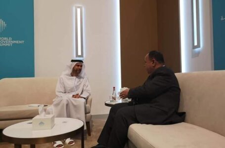 وزير المالية ونظيره الإماراتي: تعظيم جهود التكامل العربي في مواجهة التحديات الاقتصادية العالمية