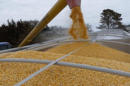 أوكرانيا تواجه صعوبات كبيرة لنقل القمح بسبب الغزو الروسي 