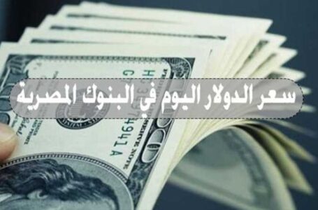 الدولار يواصل الاستقرار بالبنوك سعر الدولار اليوم في مصر