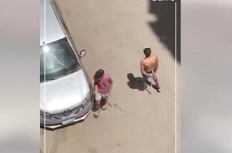 الأمن يكشف ملابسات فيديو “بلطجية” يعتدون على فتاة