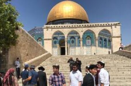 الأوقاف الإسلامية في القدس:289 اسرائيليا اقتحموا المسجد الأقصى ونظموا جولات استفزازية في ساحاته
