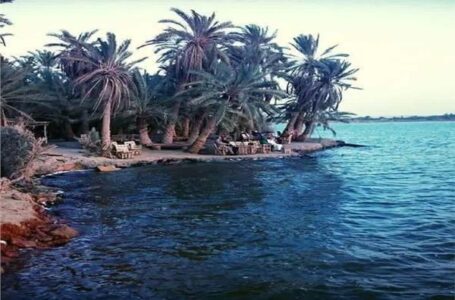 بيان الحكومة بشأن تجفيف بحيرة فطناس في سيوة