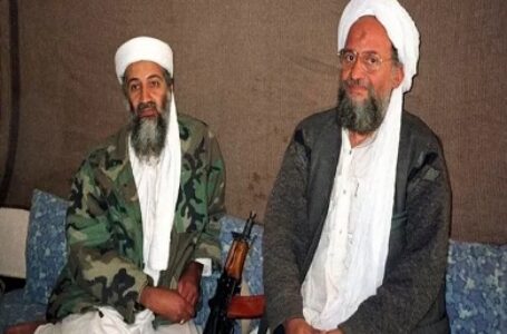 تتداول انباء عن قرابة زعيم تنظيم القاعدة للإمام الأكبر الأسبق والأزهر يرد