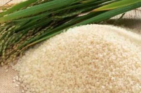 التموين تعلن ضبط منظومة الأرز خلال أسبوع