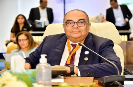 محمود محيي الدين مديرًا تنفيذيًا بصندوق النقد الدولي كممثل للعرب