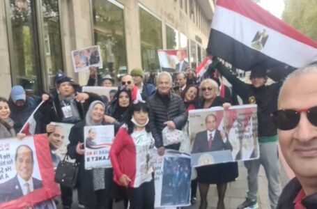 الجالية المصرية في لندن تنظم وقفة تأييد للسيسي