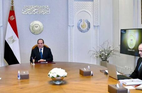 السيسي يجتمع مع رئيس مجلس إدارة الشركة العربية للبصريات