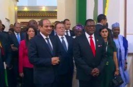 75 دولة أفريقية في حضور الرئيس عبد الفتاح السيسي من اجل تعزيز التجارة البينية