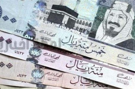 السعودي بكام؟ ارتفاع جديد لسعر الريال بالبنوك الخميس 16 يناير 2025