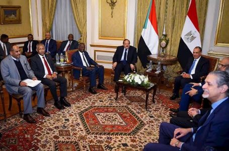 مصر والسودان: دعوة لاستعادة التوافق حول مبادرة حوض النيل والتوصل لاتفاق ملزم بشأن سد النهضة