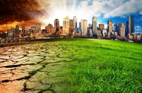 القاهرة مركز الابتكار الأفريقي.. مصر تترسخ كقوة رائدة في دعم الشركات الناشئة