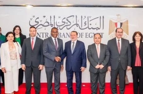 نمو وتحويلات قوية.. المركزي وصندوق النقد الدولي يستعرضان أداء الاقتصاد المصري