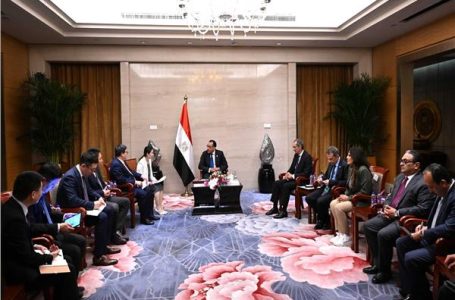 الصينية تستثمر 300 مليون دولار في مصنع سيارات بمصر”