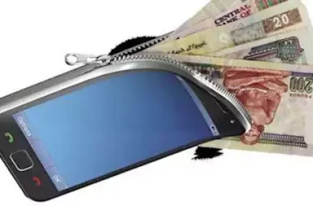 “عطل مفاجئ يربك مستخدمي المحافظ الإلكترونية في مصر: تحديثات فنية وراء الأزمة”