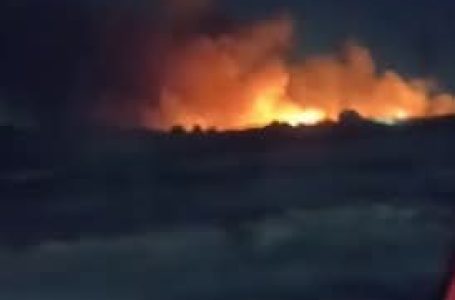 حريق هائل بمصنع في الروبيكي والحماية المدنية تواصل جهود السيطرة كتبت / يوستينا ألفي
