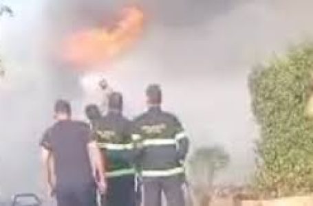 كارثة في عزبة علي بدر.. حريق هائل يلتهم 250 نخلة بإسنا والحماية المدنية تتدخل