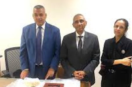 “مصر تستعيد 20 قطعة أثرية نادرة من أستراليا وتعرضها بالمتحف المصري”