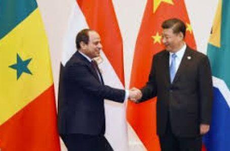 مصر والصين… خطوات فعلية نحو تنمية غير مسبوقة كتبت / يوستينا ألفي