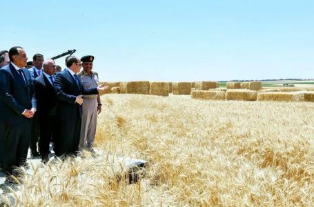 مدينة مستقبل مصر الصناعية تقود ثورة زراعية في مصر