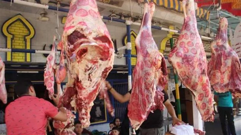 طواريء داخل المجازر الحكومية