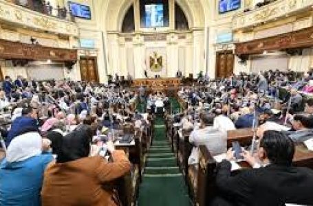 خطوات جديدة تضع معايير جديّة للانتخابات البرلمانية كتبت: يوستينا ألفي