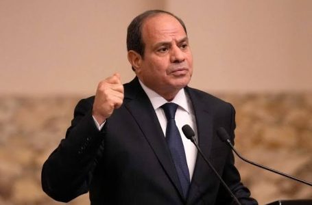 السيسي يحذّر: استمرار الحرب الإسرائيلية قد يفجّر المنطقة بقلم: يوستينا ألفي