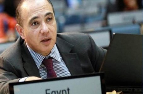 مصر تؤكد التزامها البيئي في احتفال مرور 40 عامًا على مؤتمر وزراء البيئة الأفارقة