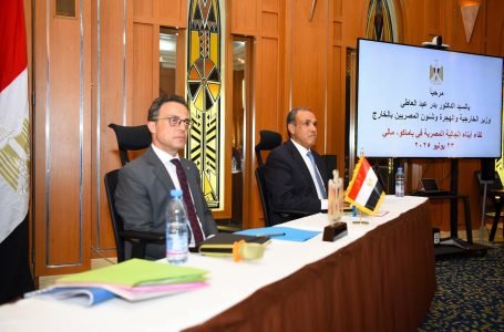 وزير الخارجية يلتقي الجالية المصرية في مالي ضمن جولته الإفريقية